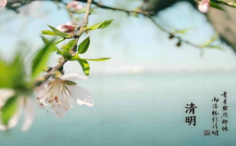清明节|2024|PP电子 清明节|2024|PP电子